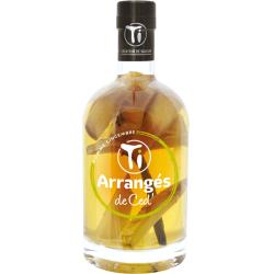 TI ARRANGE DE CED POMME GINGEMBRE 70CL 32%