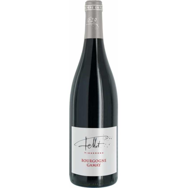 BOURGOGNE GAMAY EMMANUEL FELLOT AB 2022