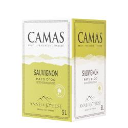 BIB 5L CAMAS SAUVIGNION 5L