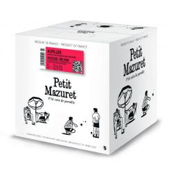 BIB 5L IGP ALPILLES PETIT MAZURET ROUGE