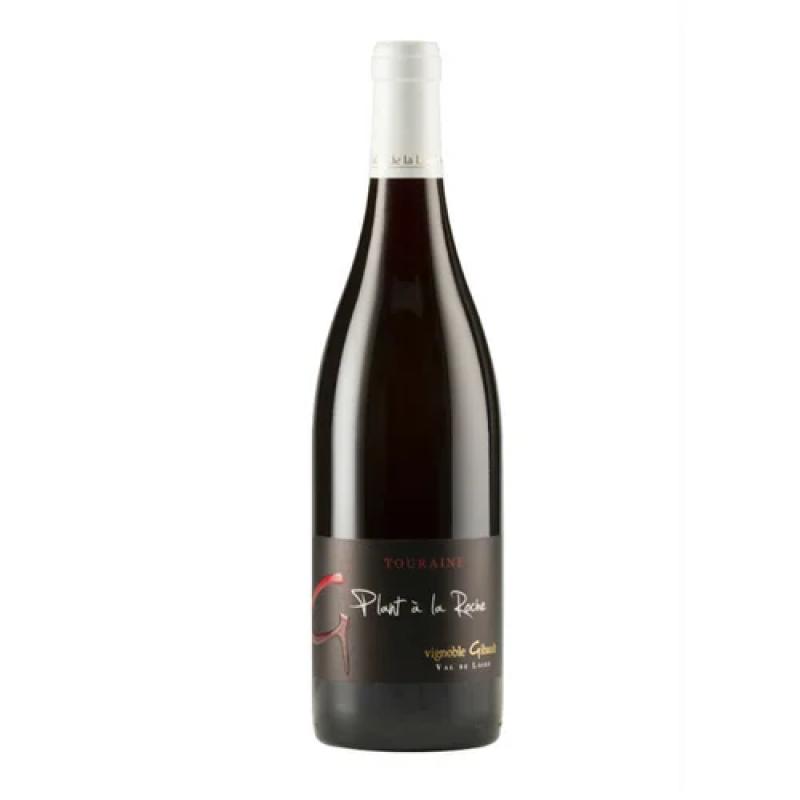 TOURAINE GAMAY VIGNOBLE GIBAULT PLANT A LA ROCHE