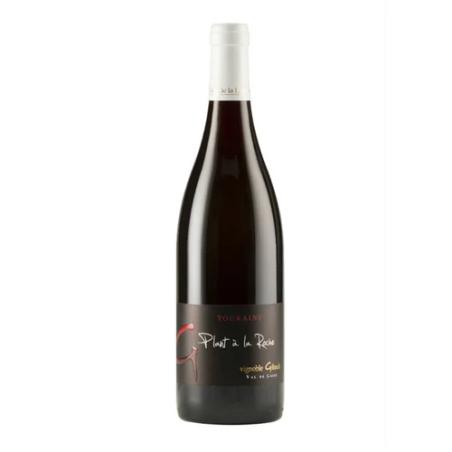 TOURAINE GAMAY VIGNOBLE GIBAULT PLANT A LA ROCHE