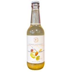 LIMONADE ARTISANALE FRUITS EXOTIQUES BRASSERIE SANCERROISE 33CL