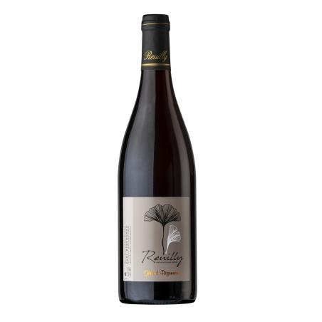 REUILLY ROUGE DOMAINE BIGONNEAU